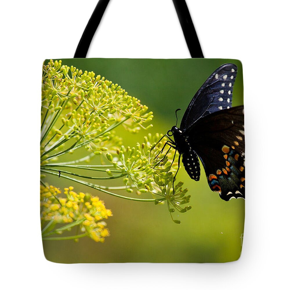 Butterfly Tote Bag featuring the photograph Dill and the Butterfly by Jan Killian