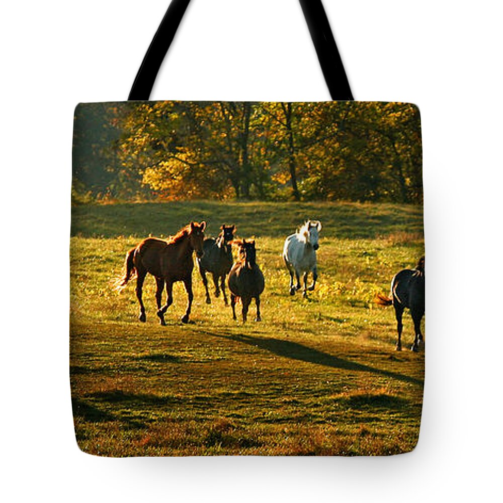 Horses Tote Bag featuring the photograph Dinner Bell by Carol Lynn Coronios