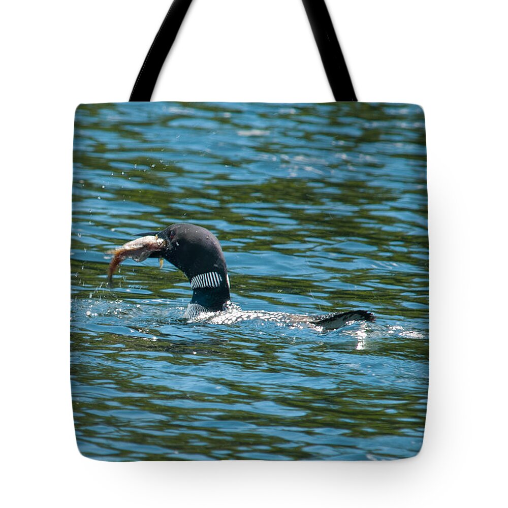 Birds Tote Bag featuring the photograph Dinner Time by Brenda Jacobs