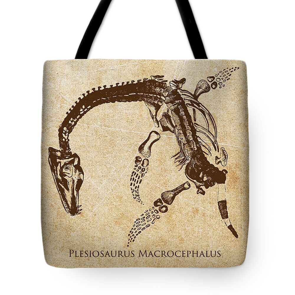 Plesiosauria Tote Bag featuring the digital art Dinosaur Plesiosaurus Macrocephalus by Aged Pixel