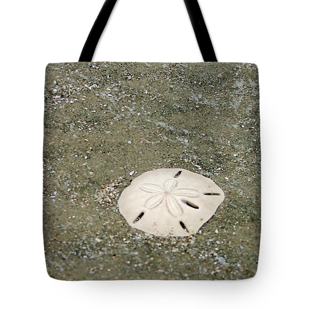 Sand Dollar Tote Bag featuring the photograph Pick Me Up by Melinda Ledsome