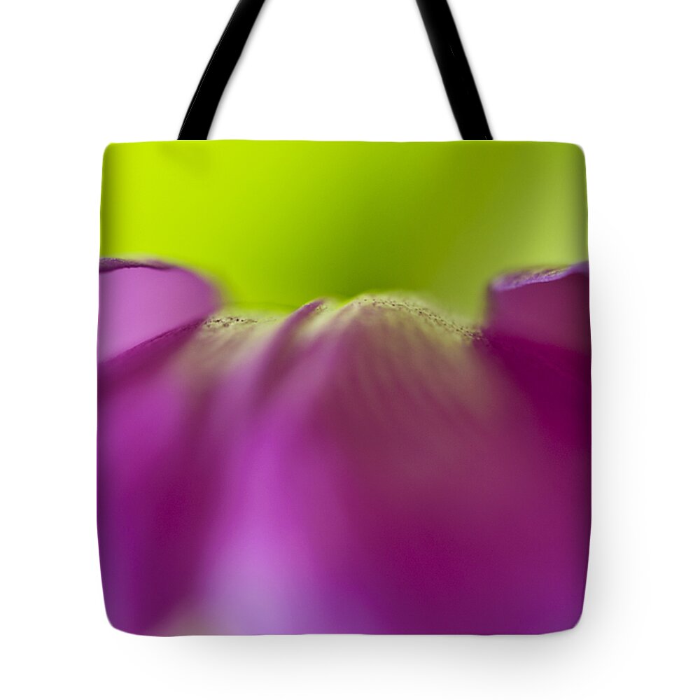 Abstract Tote Bag featuring the photograph Discovery in Color by Christi Kraft
