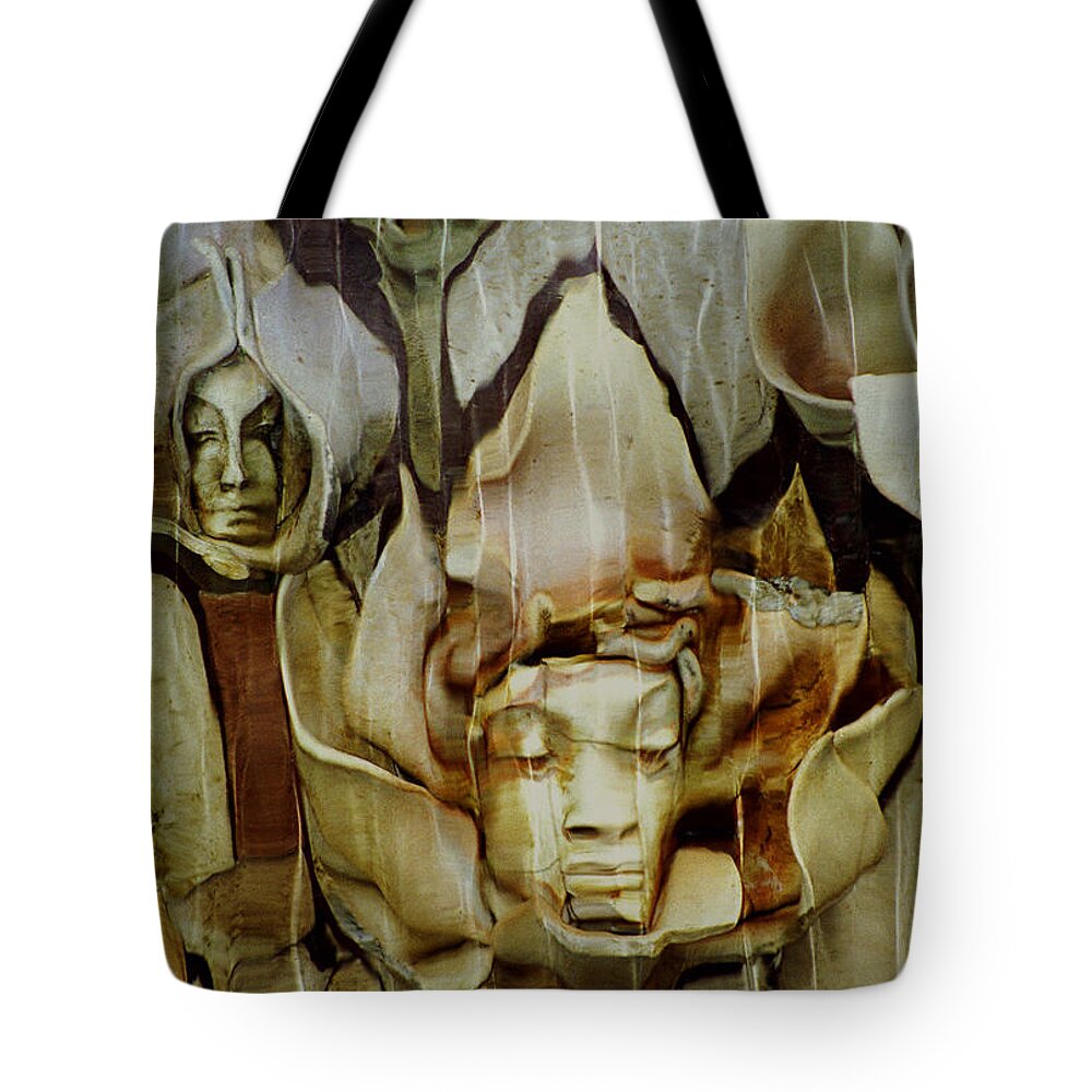 Distortion Tote Bag featuring the photograph Distortion by Penny Lisowski