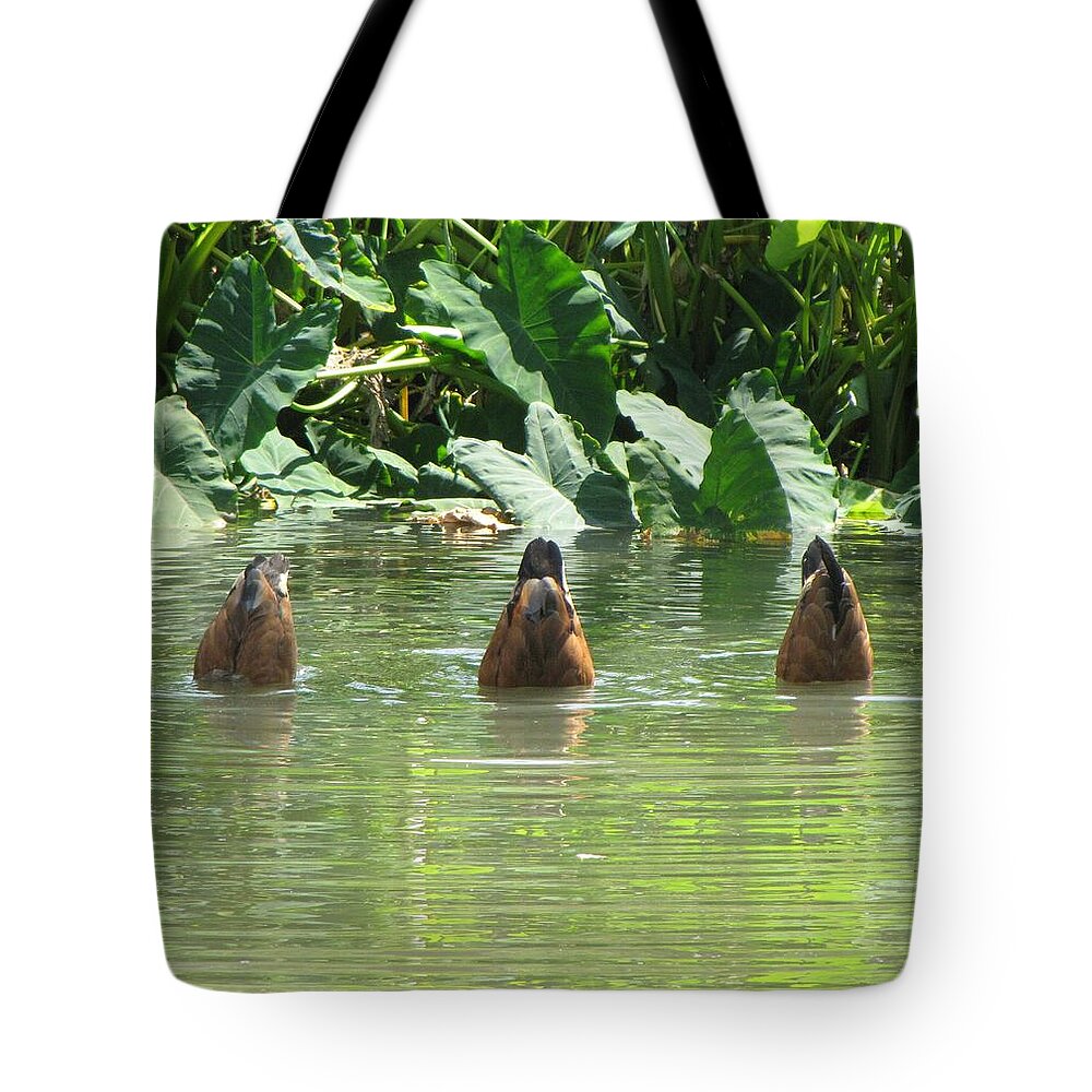 Ducks Tote Bag featuring the photograph Dive by Beth Vincent
