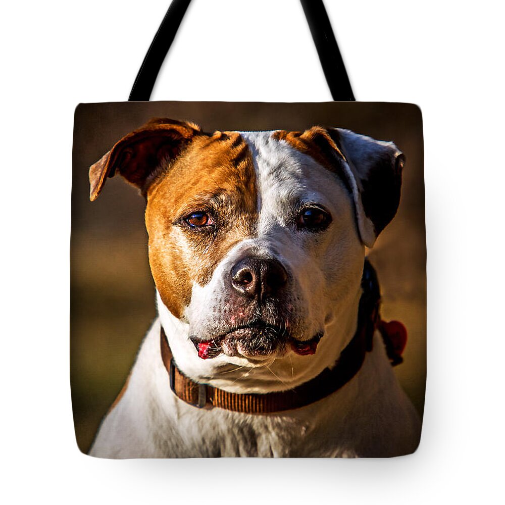 Dog Tote Bag featuring the photograph Dixie Doodle the Pit Bull by Eleanor Abramson