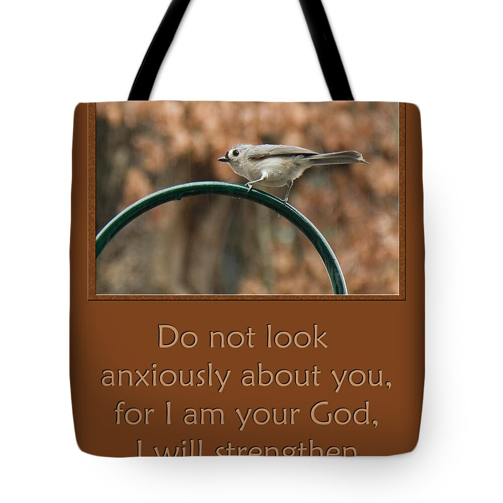 Isaiah 41:10 Tote Bag featuring the photograph Do not look anxiously about you by Denise Beverly