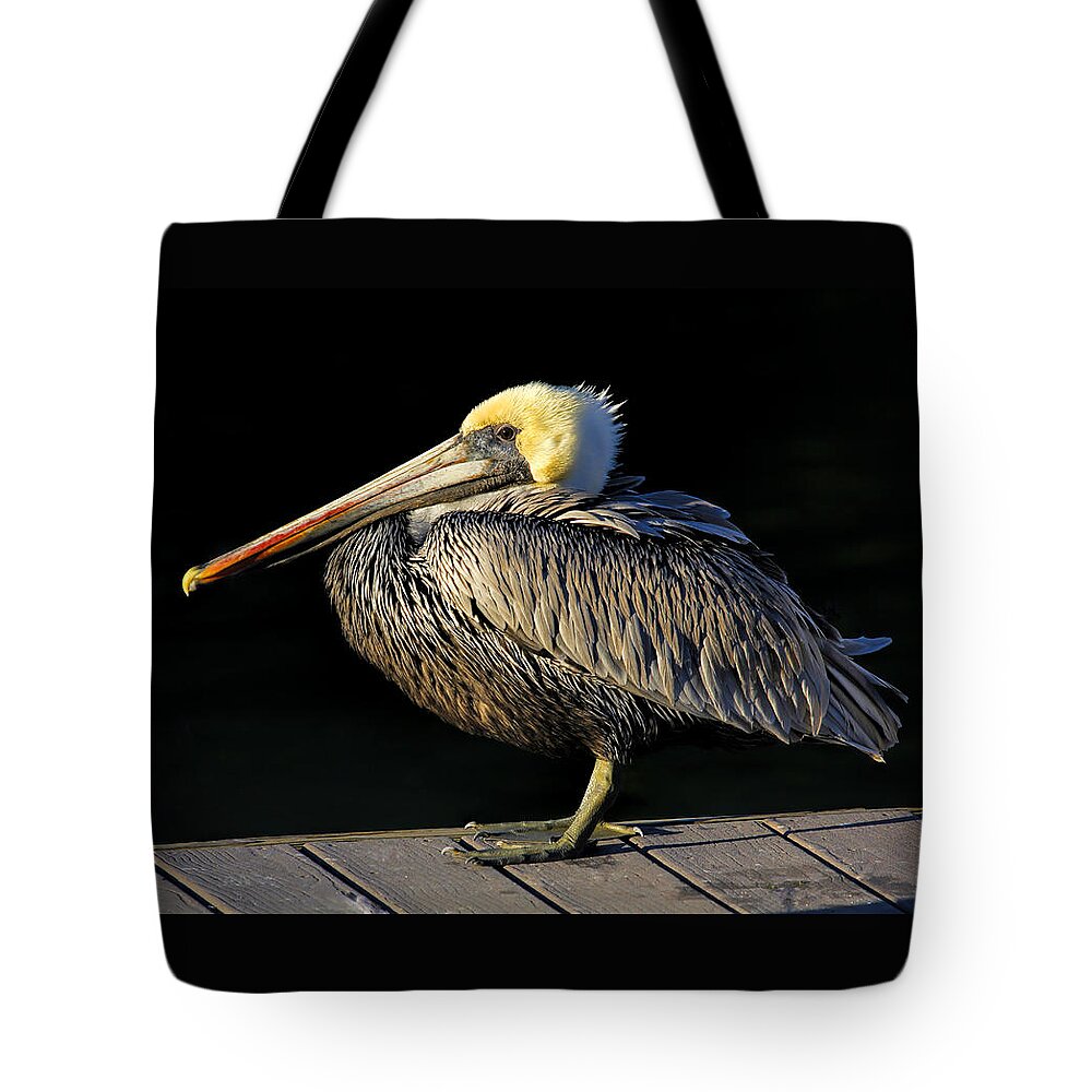 Brown Pelican Tote Bag featuring the photograph Dockmaster - Brown Pelican by HH Photography of Florida