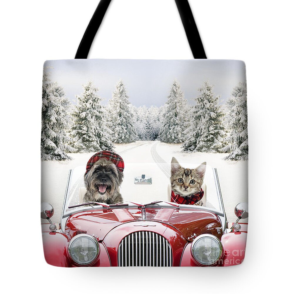 Animal Tote Bag featuring the photograph Dog And Cat Driving Car Through Snow by John Daniels and Johan De Meester