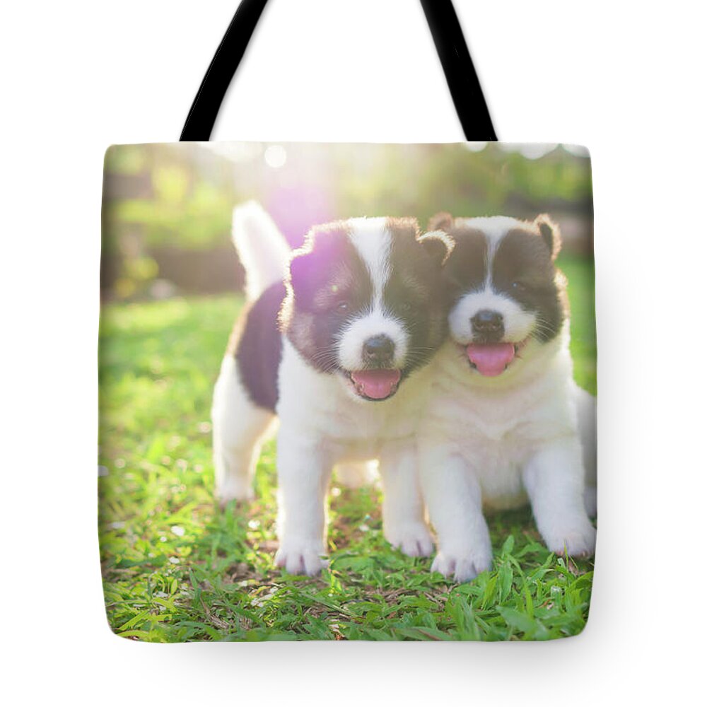 Pets Tote Bag featuring the photograph Dog And Puppies by Primeimages