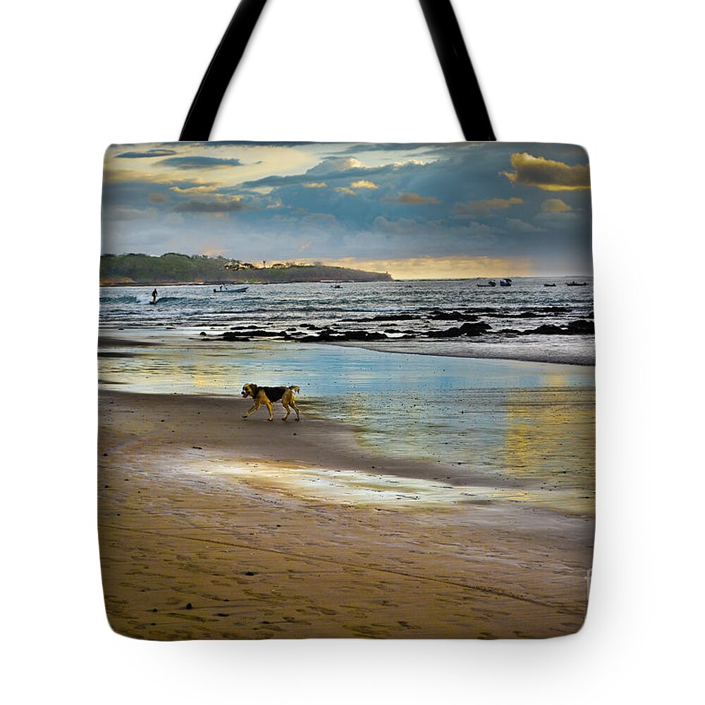 Boat Tote Bag featuring the photograph Dog Day Afternoon by Gary Keesler