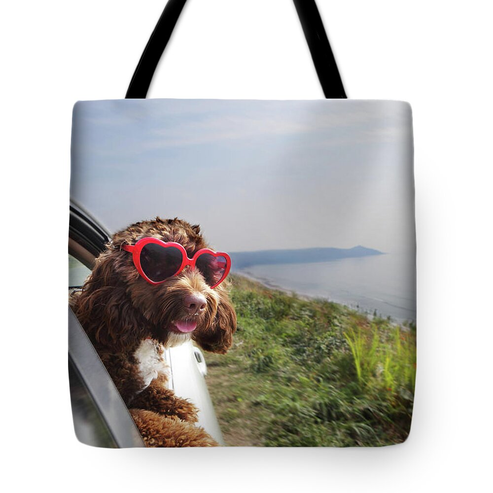 Pets Tote Bag featuring the photograph Dog Leaning Out Of Car Window On Coast by Peter Cade