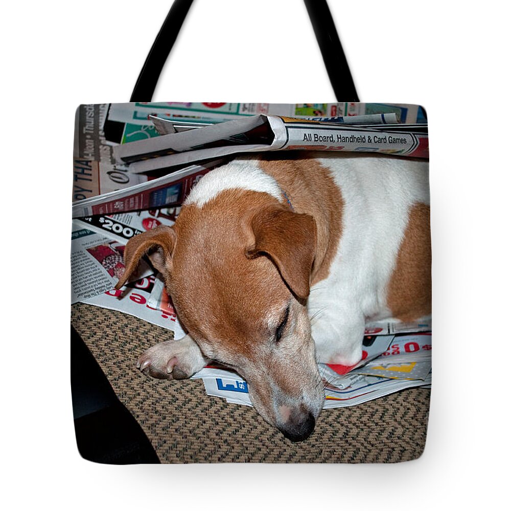 Dog Tote Bag featuring the photograph Dog Nap by Gwyn Newcombe