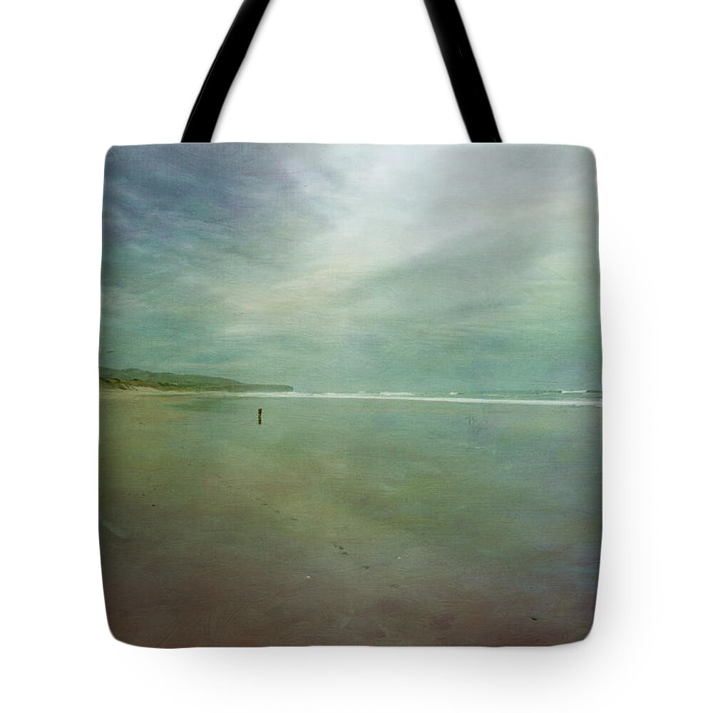 Water's Edge Tote Bag featuring the photograph Dog On A Beach by Jill Ferry
