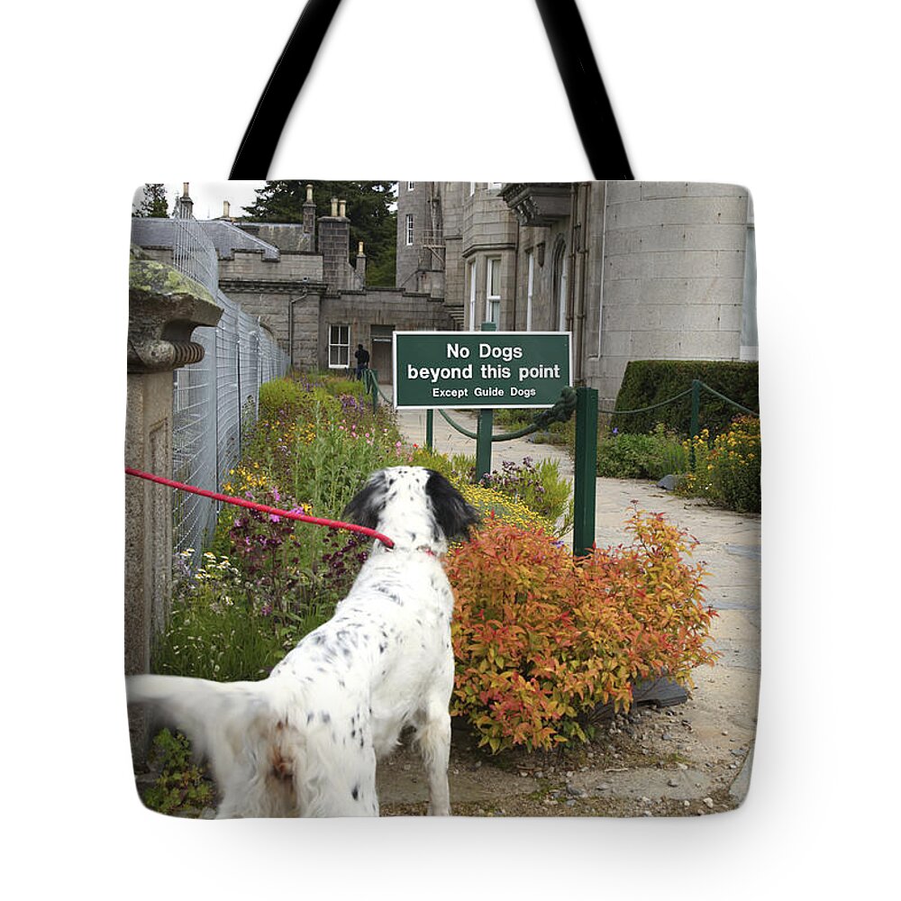 Dog Tote Bag featuring the photograph Dog reads sign by Patricia Hofmeester