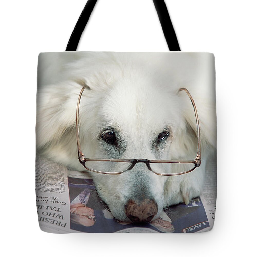 00341804 Tote Bag featuring the photograph Dog and the News by Yva Momatiuk John Eastcott