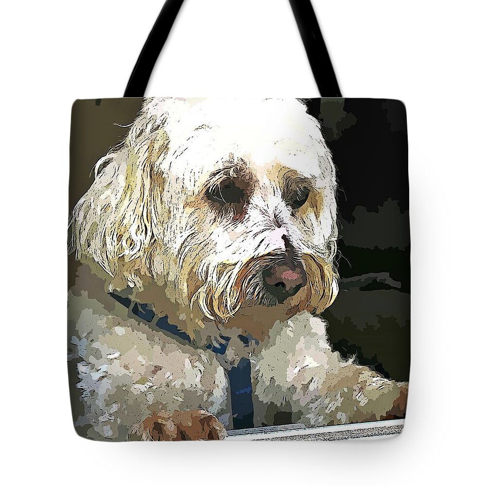 Dog Tote Bag featuring the photograph Doggie In The Window by Judy Palkimas