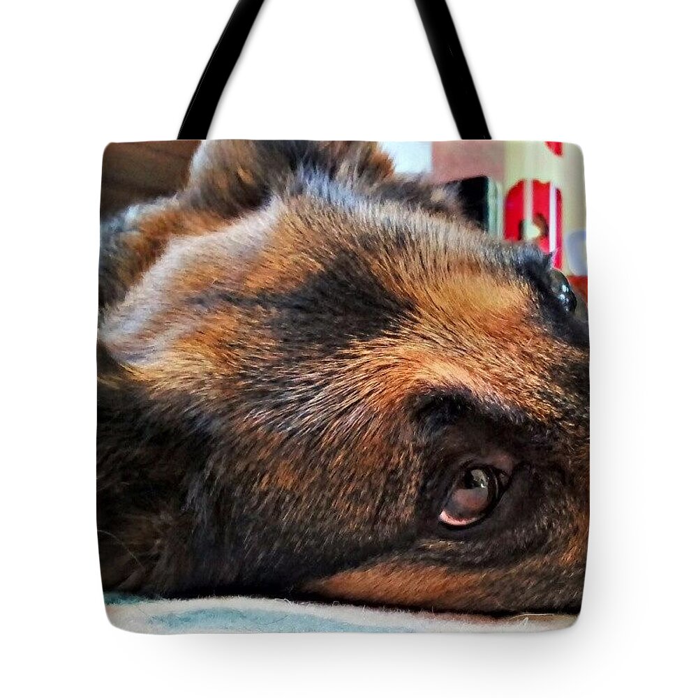 Pawsforthought Tote Bag featuring the photograph #dogs #pawsforthought #ilovemydog by Abbie Shores