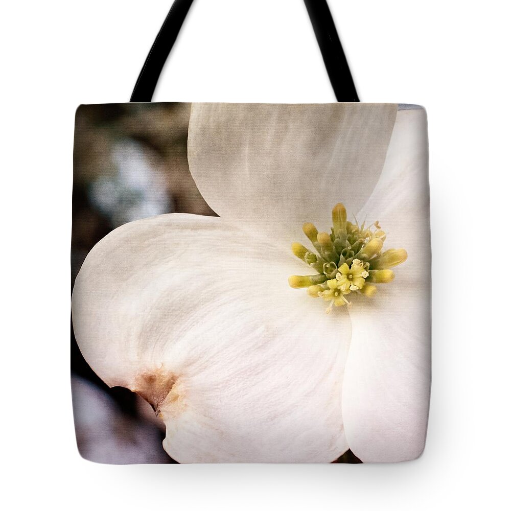 Dogwood Tote Bag featuring the photograph Dogwood Bloom Closeup by Melissa Bittinger