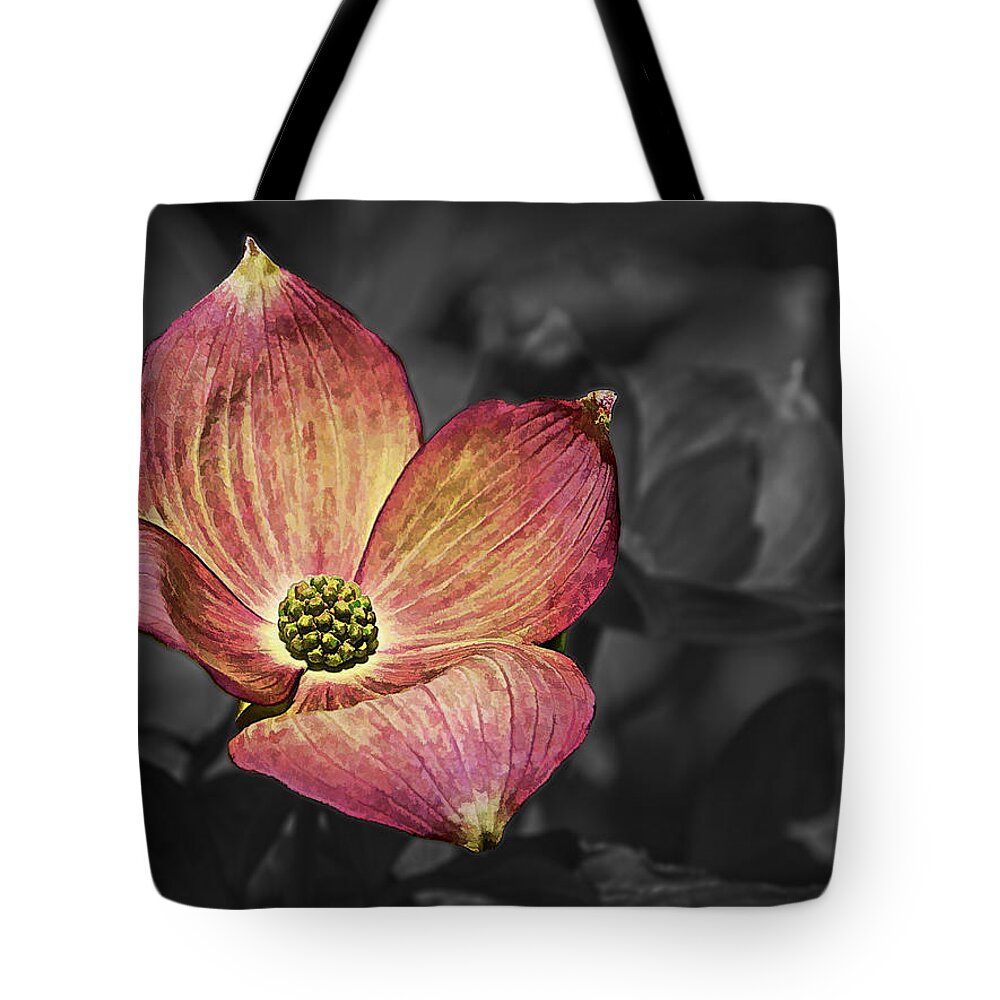 Ron Roberts Tote Bag featuring the photograph Dogwood Bloom by Ron Roberts