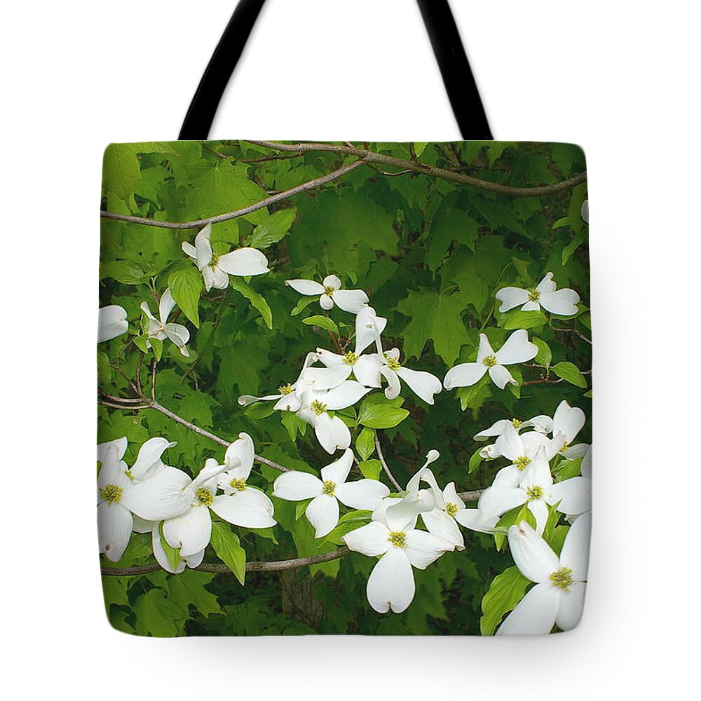 Dogwood Tote Bag featuring the photograph Dogwood Blossoms by Randy Pollard