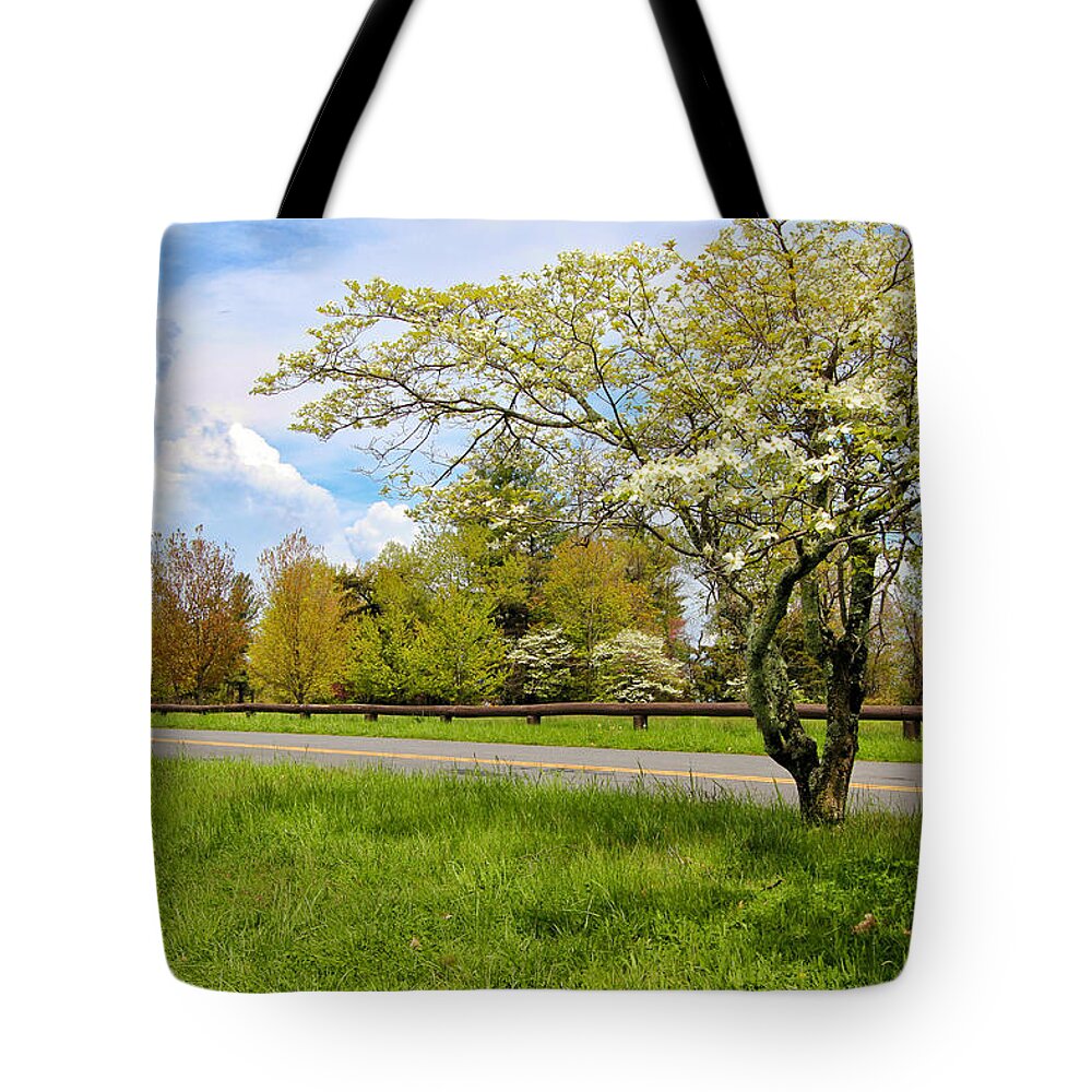 Dogwoods At Dickey Ridge Tote Bag featuring the photograph Dogwoods at Dickey Ridge by Rachel Cohen