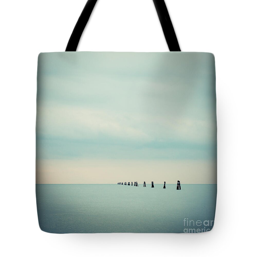 1x1 Tote Bag featuring the photograph Dolphin by Hannes Cmarits