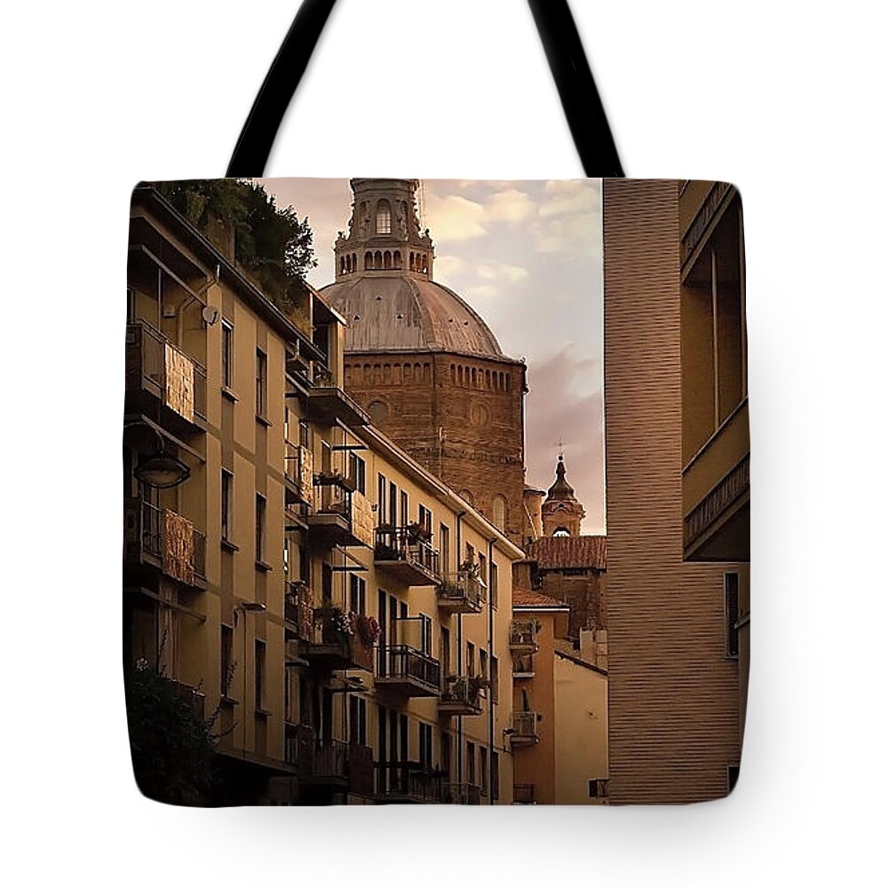 Dawn Tote Bag featuring the photograph Dome by Silvana Magnaghi