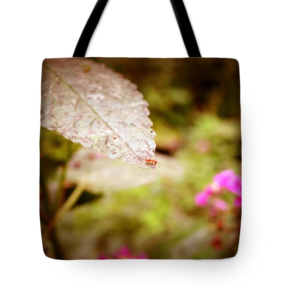 Red Ant Tote Bag featuring the photograph Don't Look Down by Laureen Murtha Menzl