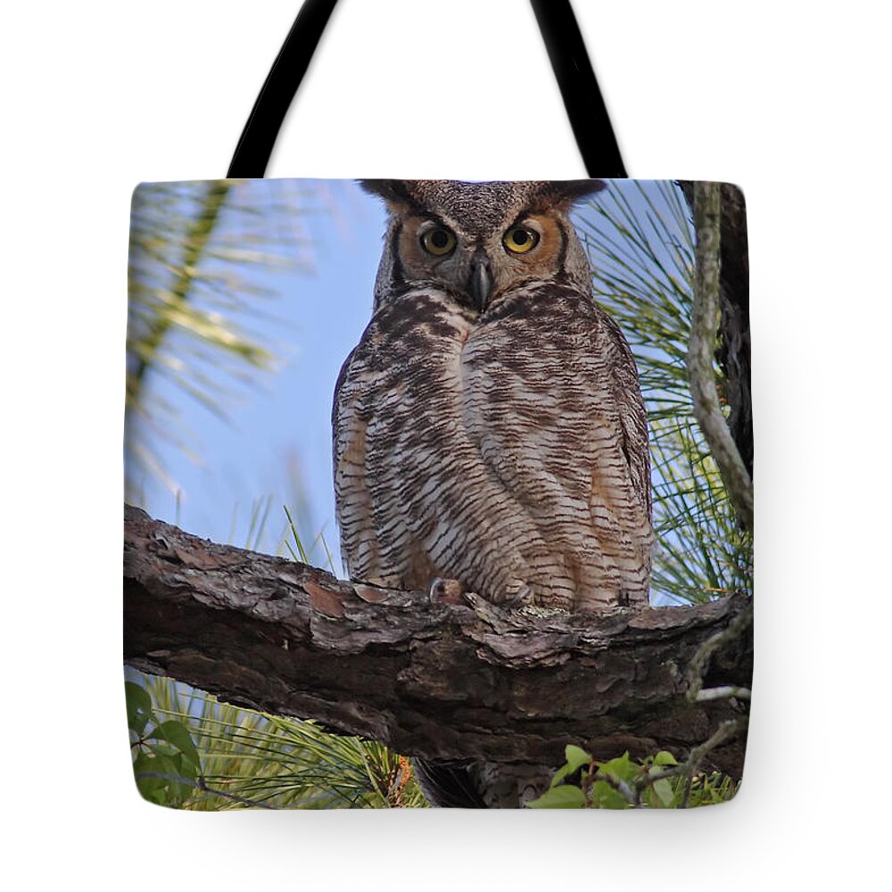 Owl Tote Bag featuring the photograph Don't Mess With My Chicks #2 by Paul Rebmann