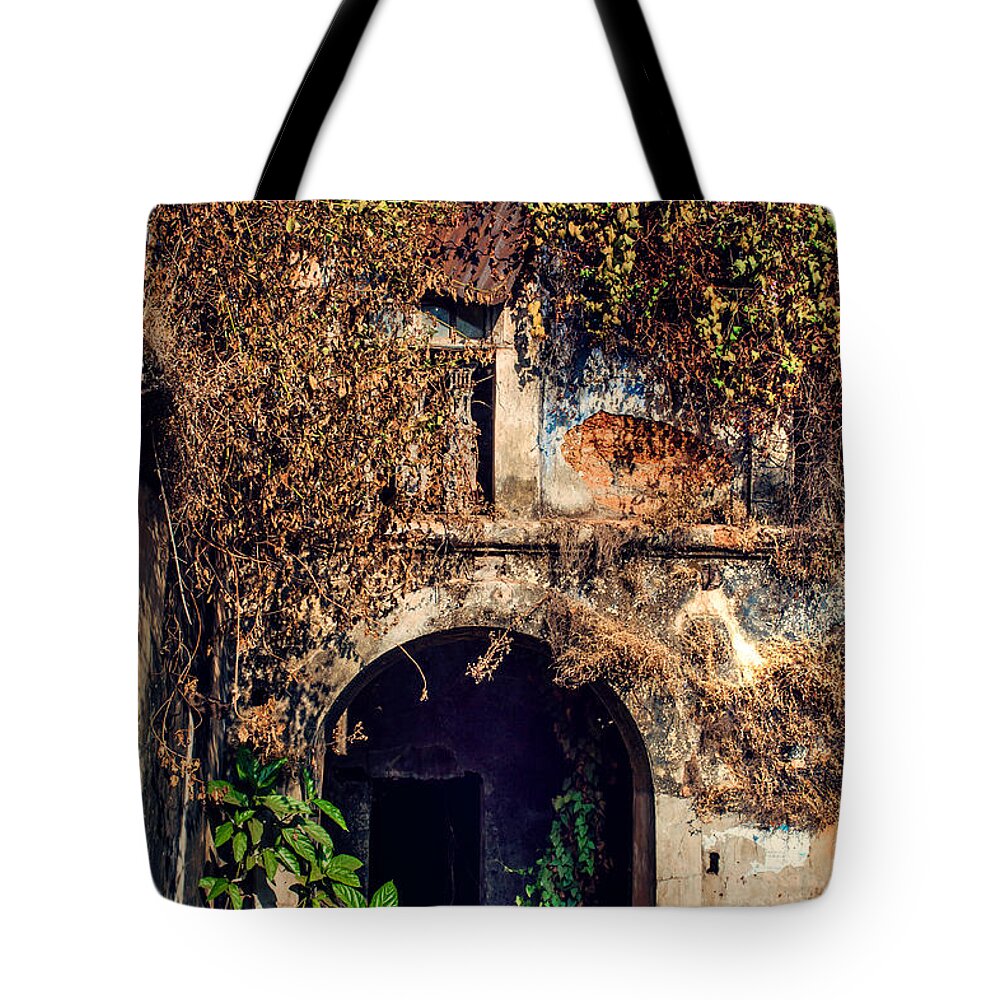India Tote Bag featuring the photograph Door at Old Portuguese House. Goa. India by Jenny Rainbow