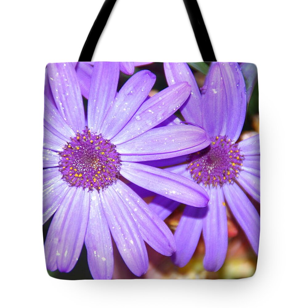 Flower Tote Bag featuring the photograph Double purple by Aimee L Maher ALM GALLERY