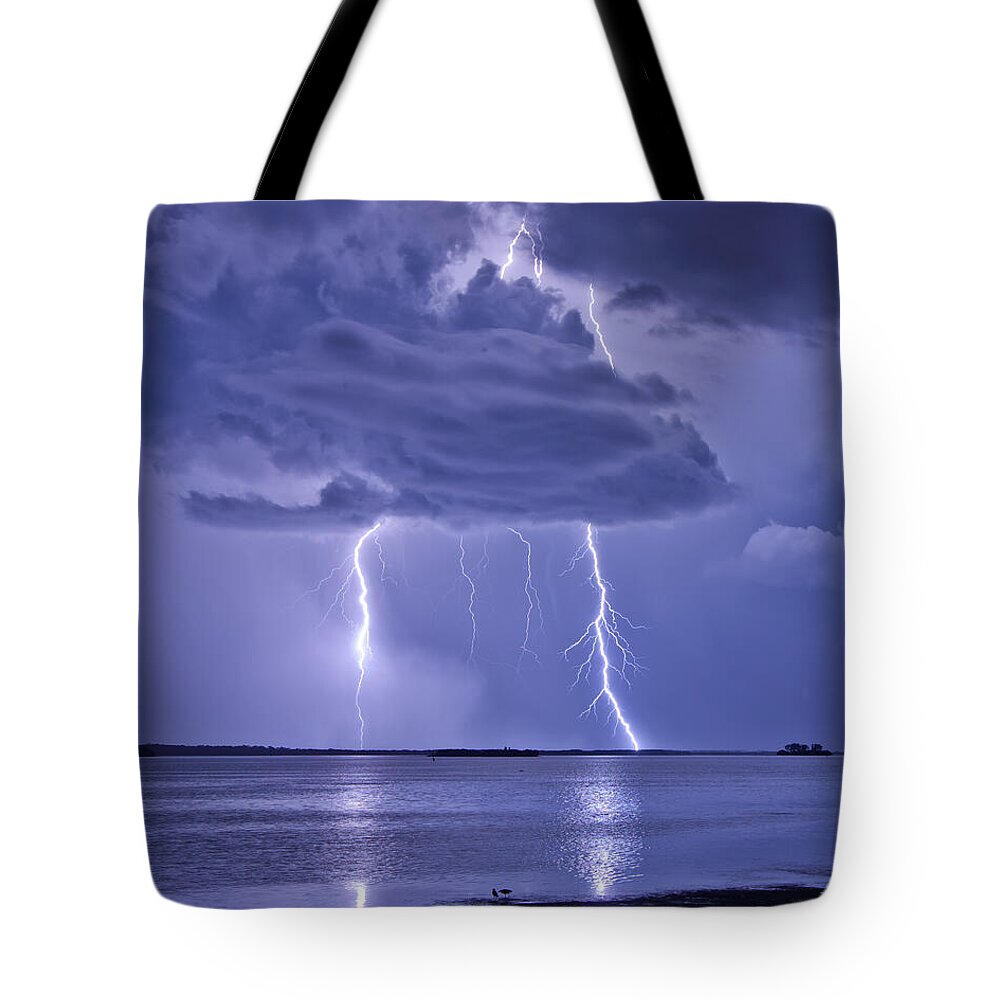 Florida Tote Bag featuring the photograph Double Reflection by Stephen Whalen