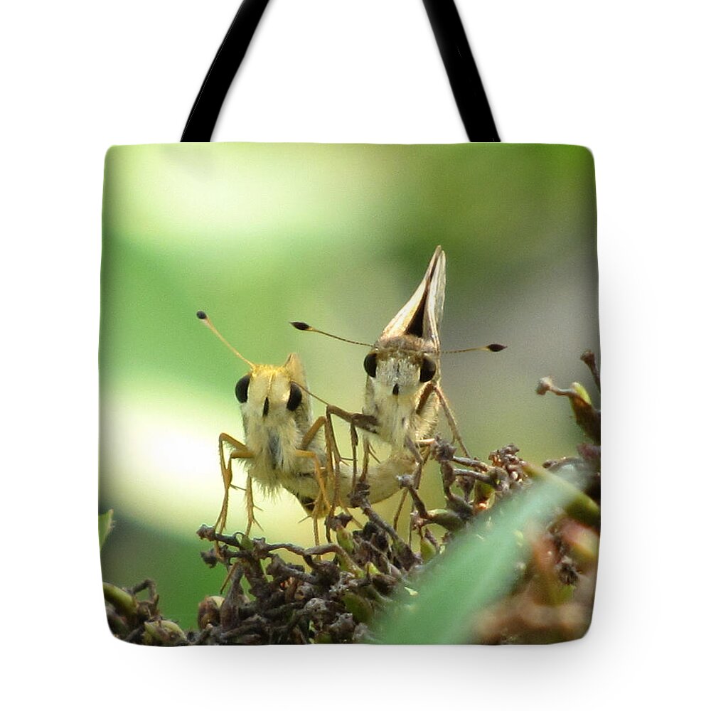 Moth Tote Bag featuring the photograph Double Trouble by Jennifer Wheatley Wolf