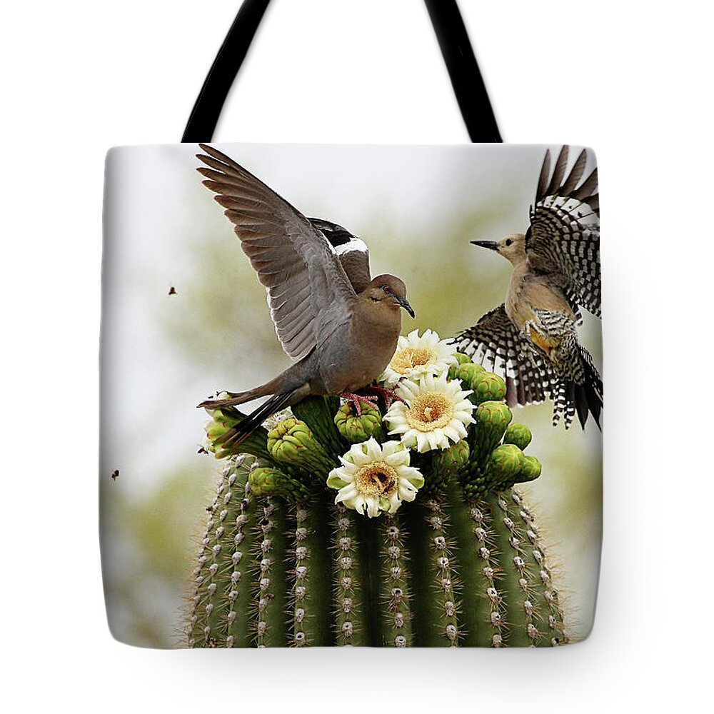 Saguaro Cactus Tote Bag featuring the photograph Dove And Woodpecker On Blooming Saguaro by Barbaracarrollphotography