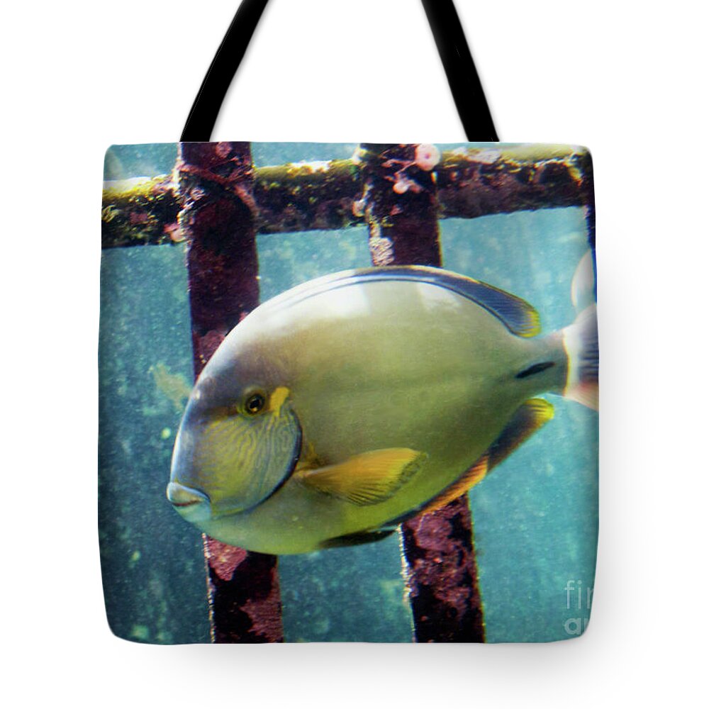 Fine Art Print Tote Bag featuring the photograph Down at the Shipwreck by Patricia Griffin Brett