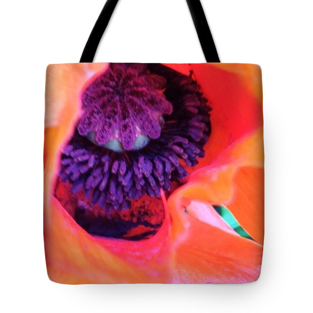 50shadesoforange Tote Bag featuring the photograph Down The Hatch, Poppy In A Neighbor's by Anna Porter