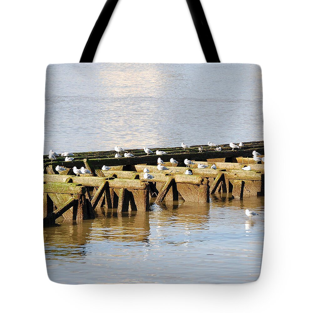 Down Time Tote Bag featuring the photograph Down Time by Sarah McKoy
