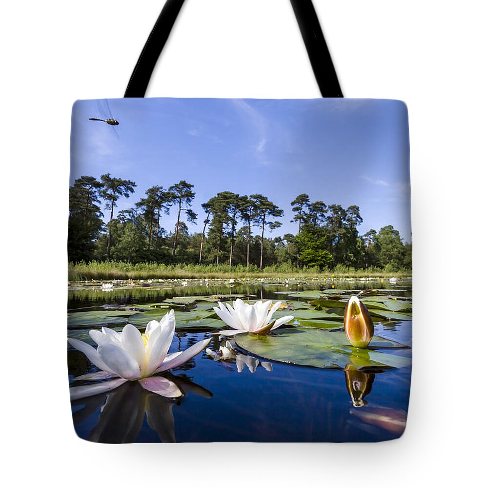 Nis Tote Bag featuring the photograph Downy Emerald Dragonfly Flying Over Lake by Alex Huizinga