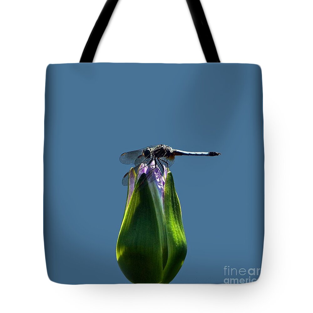 Dragonfly Caresses A Water Lily Tote Bag featuring the photograph Dragonfly Appreciates A Flower by Byron Varvarigos