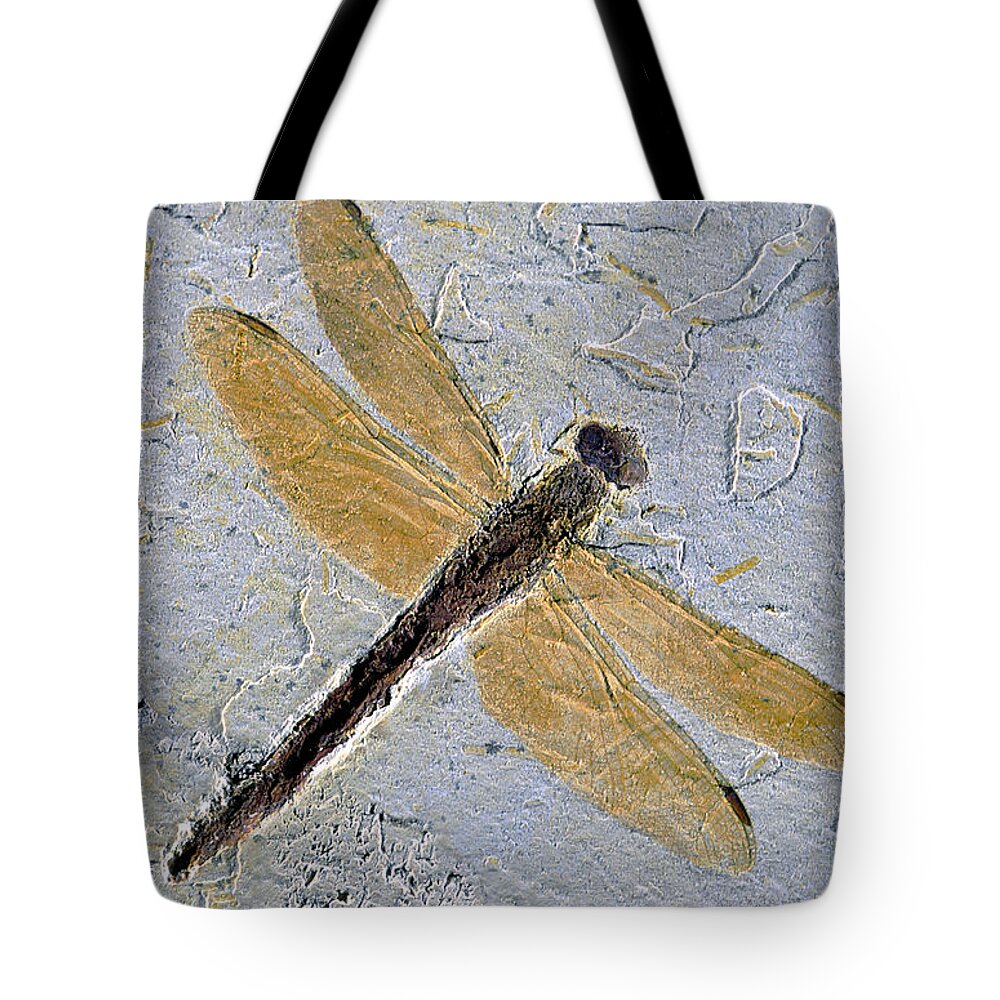 Ancient Dragonfly Tote Bag featuring the photograph Dragonfly Fossil by E.r. Degginger