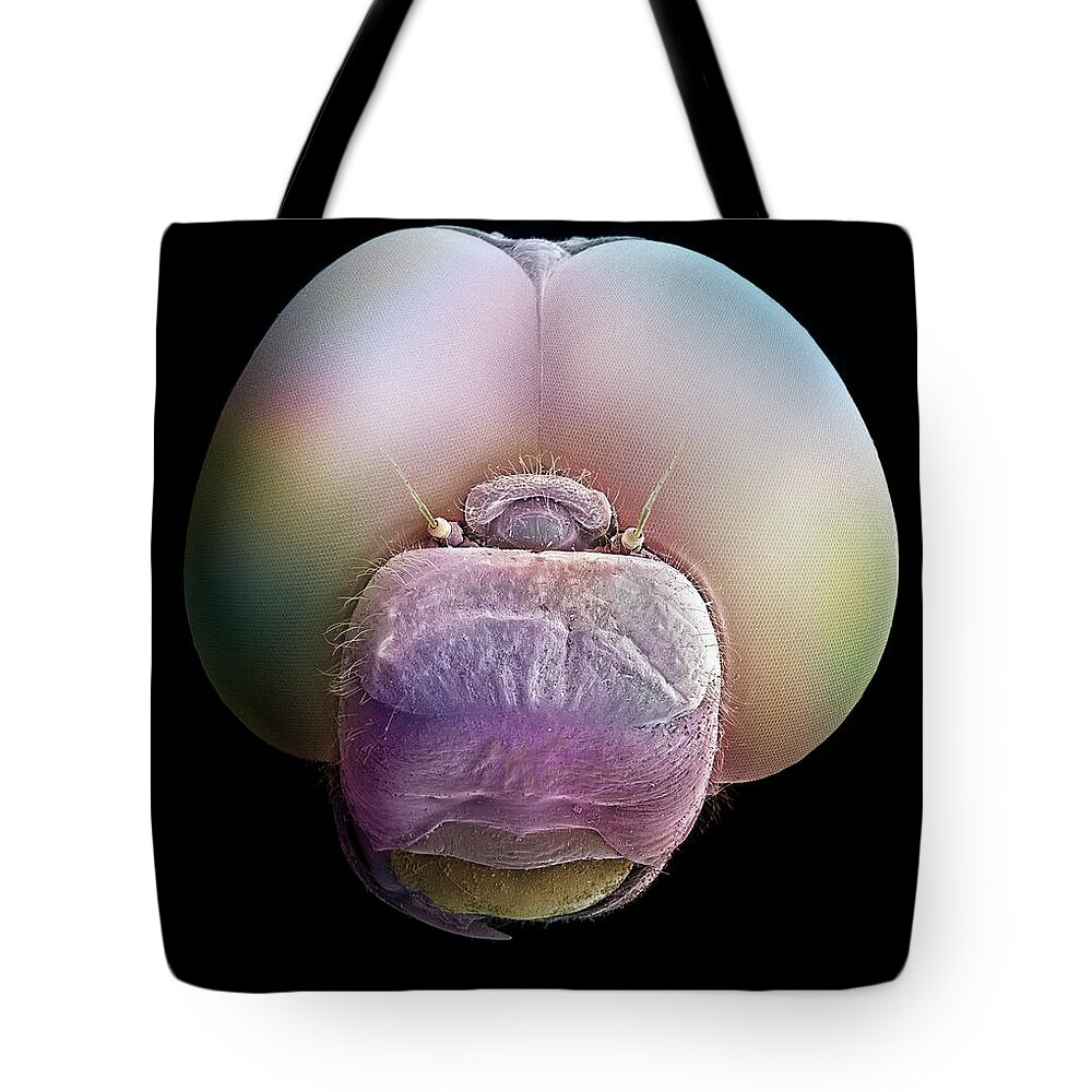 Albert Lleal Tote Bag featuring the photograph Dragonfly Head SEM 25x Magnification by Albert Lleal