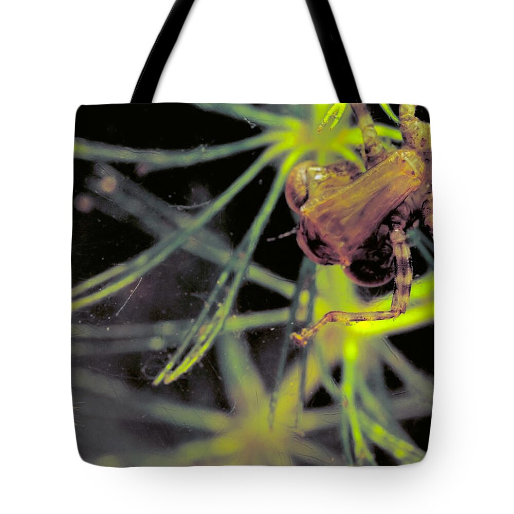 Animal Tote Bag featuring the photograph Dragonfly Nymph & Mosquito Larva by Robert Noonan