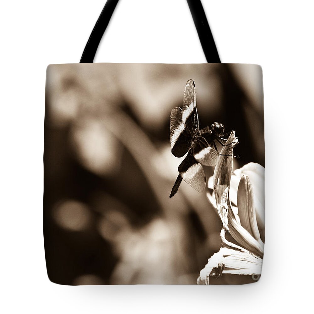 Widow Skimmer Tote Bag featuring the photograph Dragonfly of Old by Cheryl Baxter