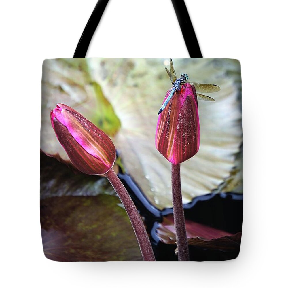 Dragonfly Tote Bag featuring the photograph Dragonfly on Lotus by Jenny Hudson