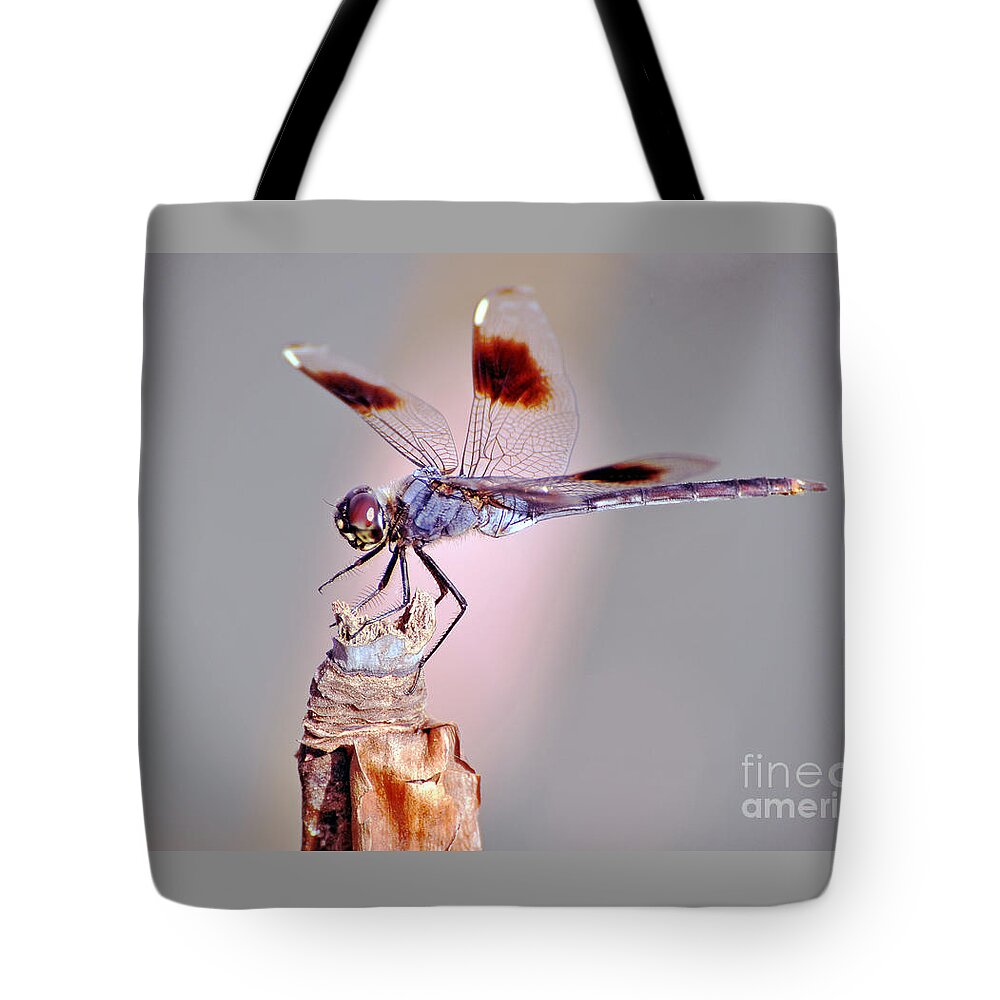 Dragonfly Tote Bag featuring the photograph Dragonfly by Savannah Gibbs