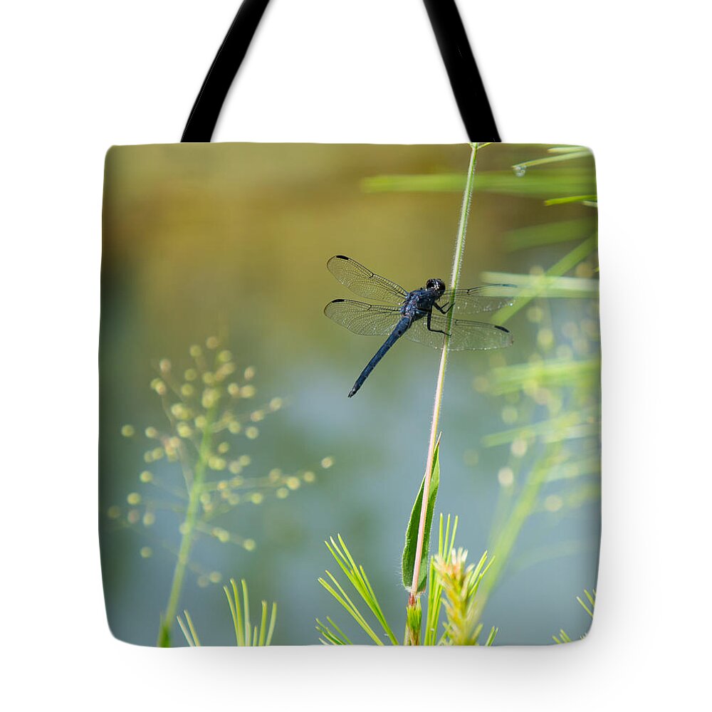 Dragonfly Tote Bag featuring the photograph Dragonfly by Stacy Abbott