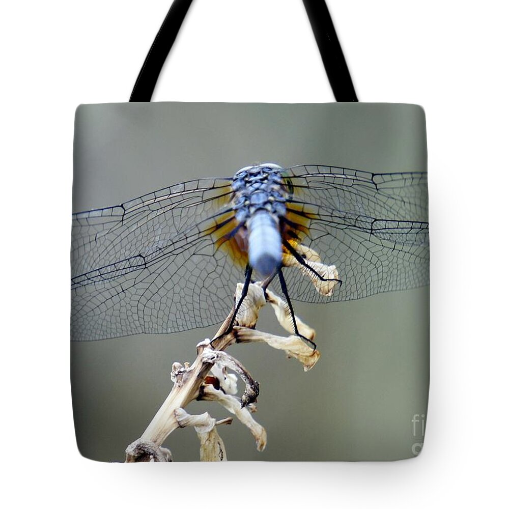Dragonfly Tote Bag featuring the photograph Dragonfly Wing Details II by Lilliana Mendez