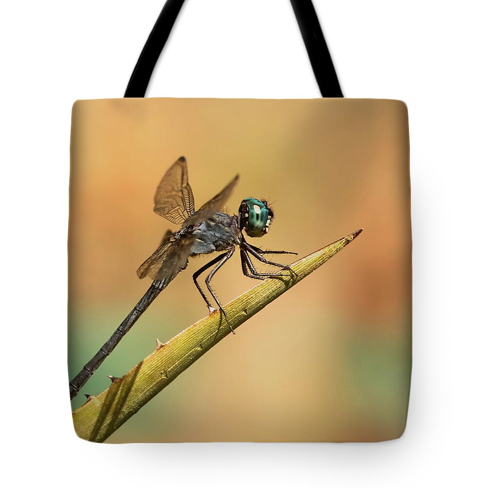 Dragonfly Tote Bag featuring the photograph Dragonlet by Erin Thomsen