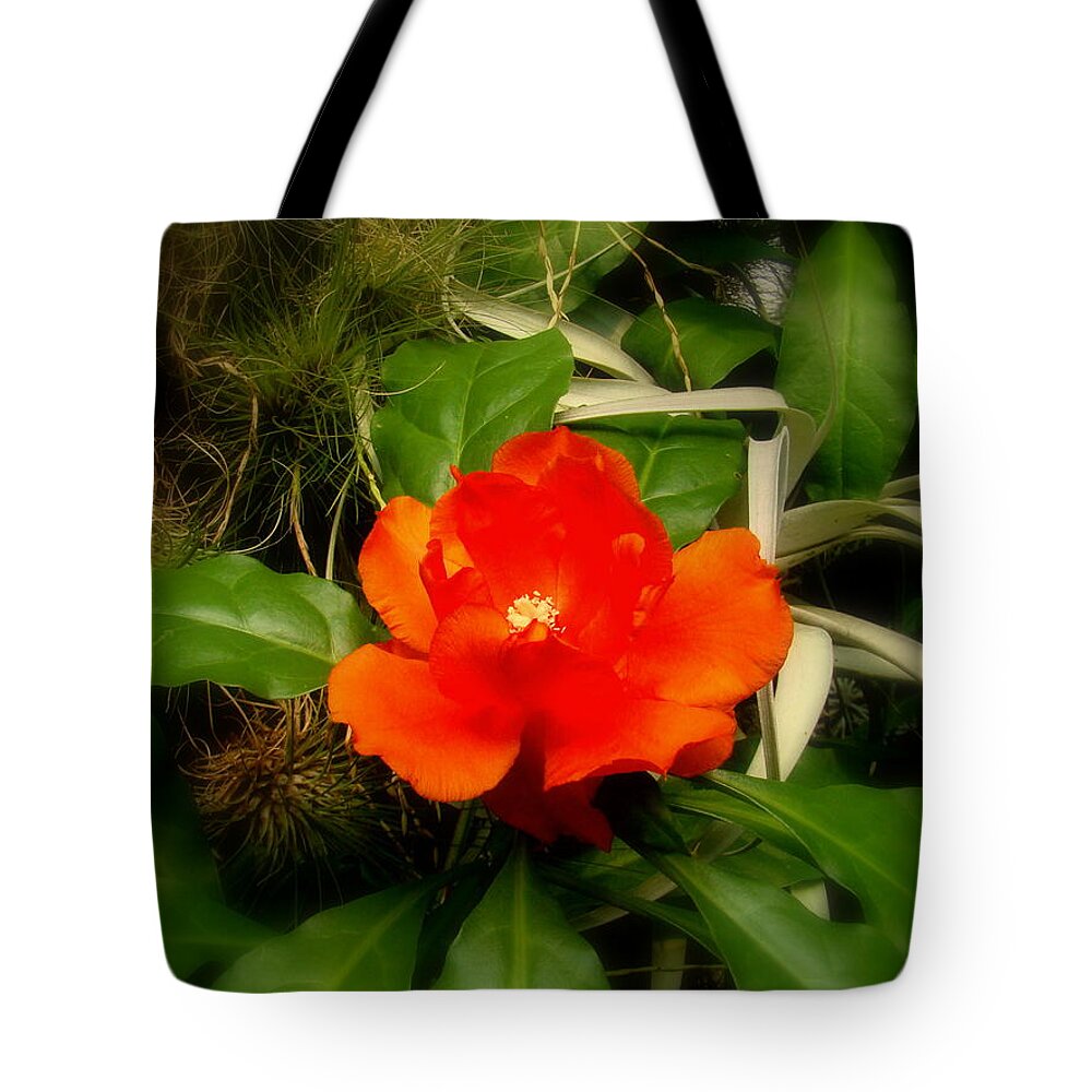 Fine Art Tote Bag featuring the photograph Dream Flower by Rodney Lee Williams