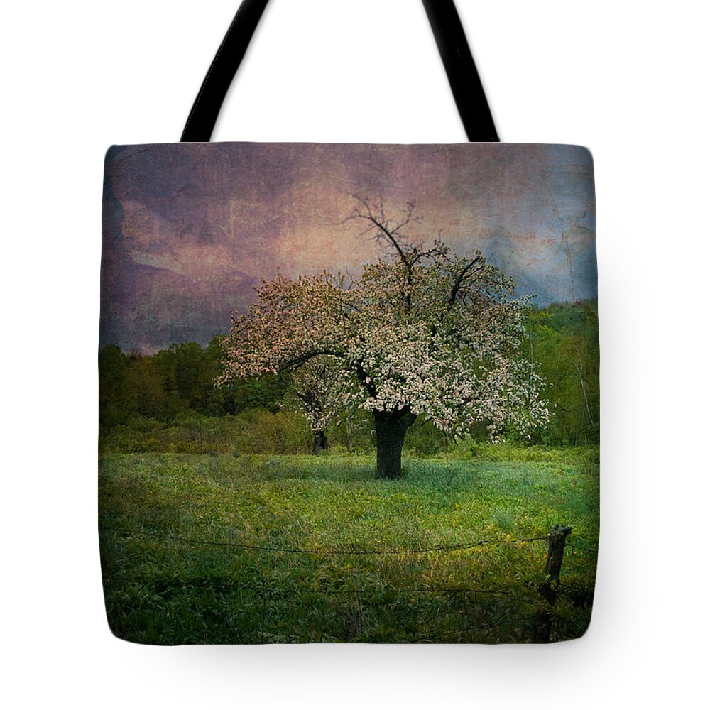 Image By Jeff Folger Tote Bag featuring the photograph Dream of Spring by Jeff Folger